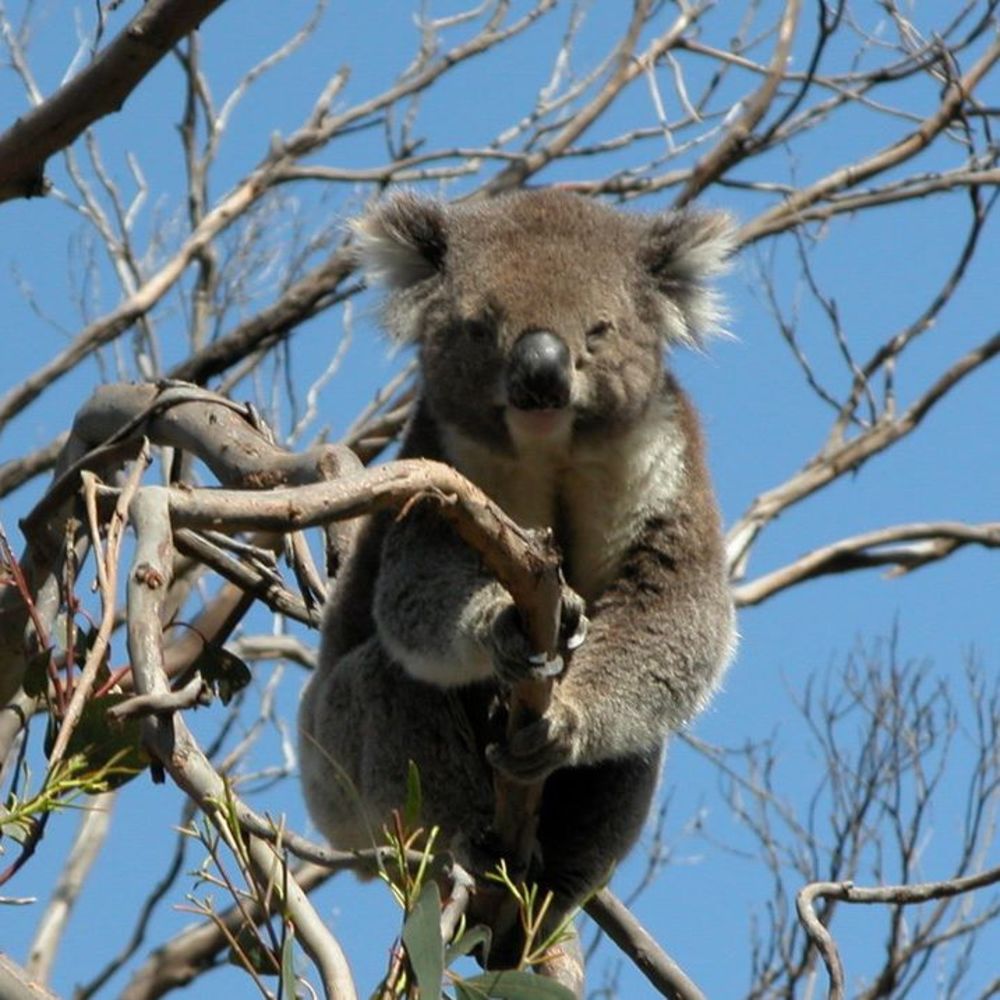 Meet your Posher, Gretchen